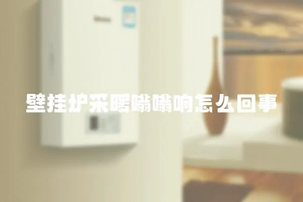 壁掛爐采暖嗡嗡響怎么回事