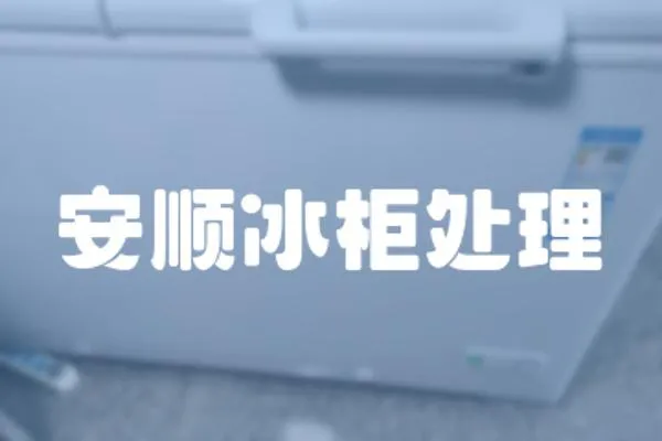 安順冰柜處理