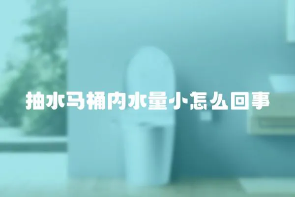 抽水馬桶內水量小怎么回事