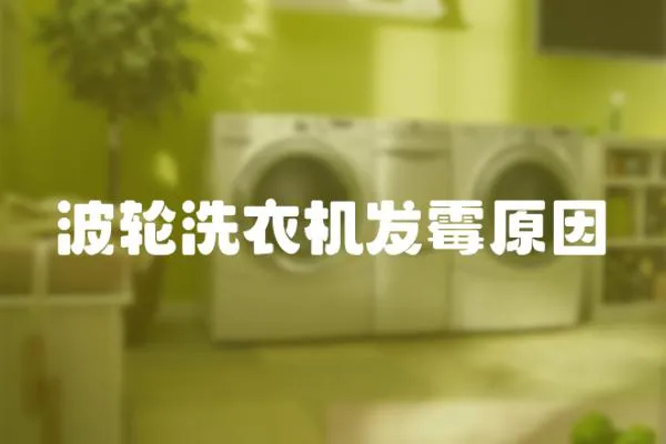 波輪洗衣機發(fā)霉原因