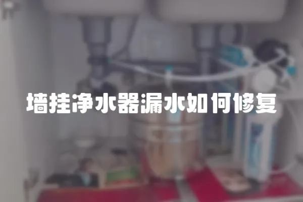 墻掛凈水器漏水如何修復