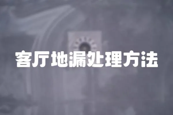 客廳地漏處理方法
