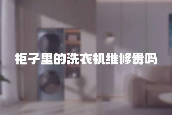 柜子里的洗衣機(jī)維修貴嗎