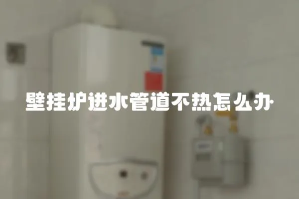 壁掛爐進水管道不熱怎么辦