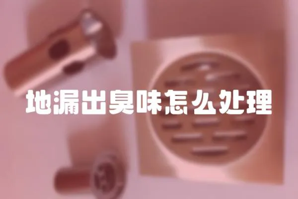 地漏出臭味怎么處理