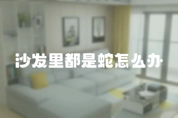 沙發(fā)里都是蛇怎么辦