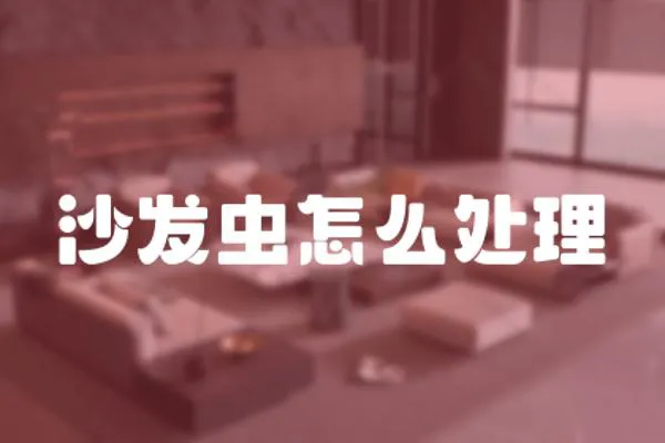 沙發(fā)蟲怎么處理