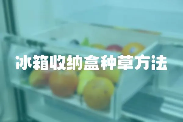 冰箱收纳盒种草方法