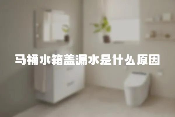 馬桶水箱蓋漏水是什么原因