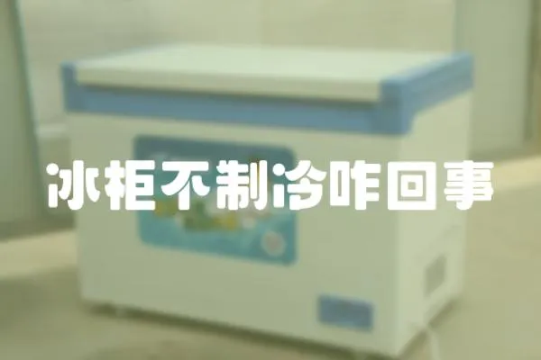冰柜不制冷咋回事