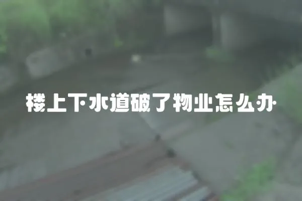 樓上下水道破了物業(yè)怎么辦