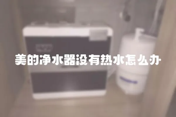 美的净水器没有热水怎么办