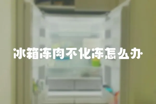 冰箱凍肉不化凍怎么辦