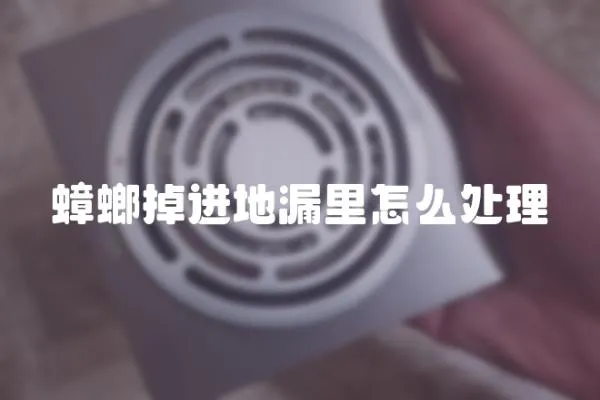 蟑螂掉進地漏里怎么處理