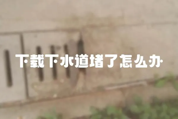 下載下水道堵了怎么辦