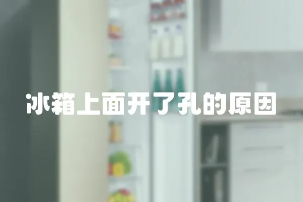冰箱上面開了孔的原因