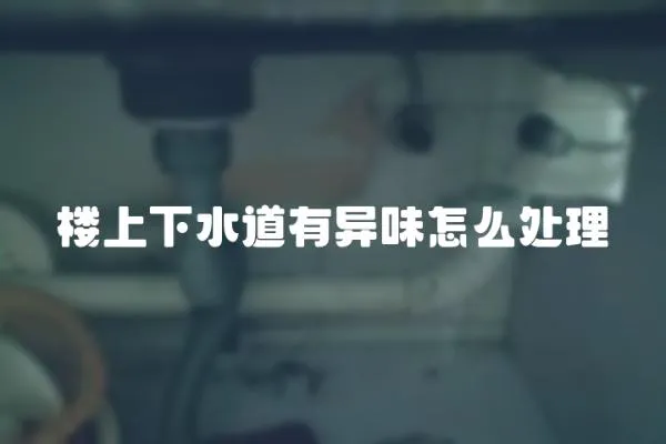 樓上下水道有異味怎么處理