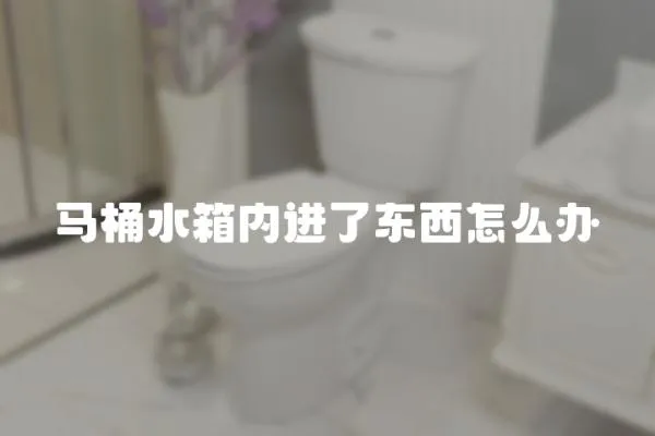 馬桶水箱內進了東西怎么辦