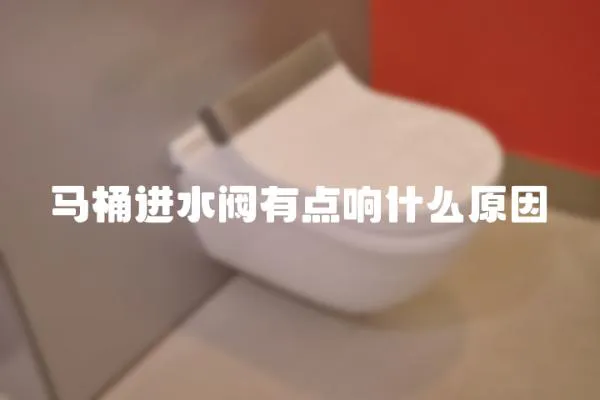 馬桶進水閥有點響什么原因