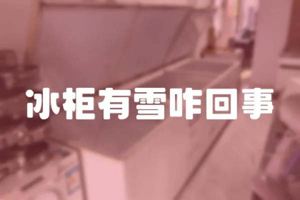 冰柜有雪咋回事