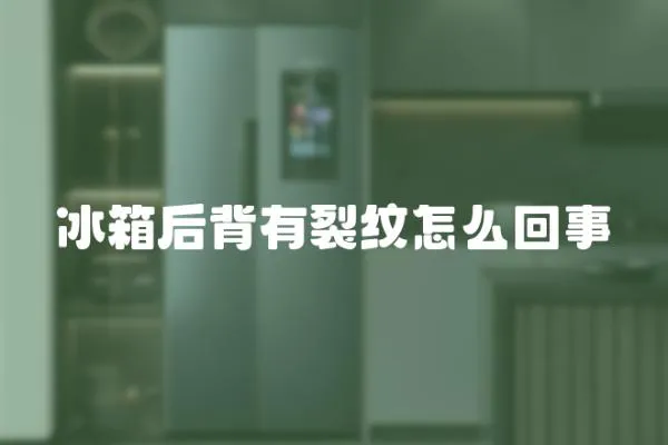 冰箱后背有裂紋怎么回事