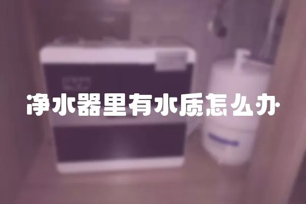 凈水器里有水質怎么辦