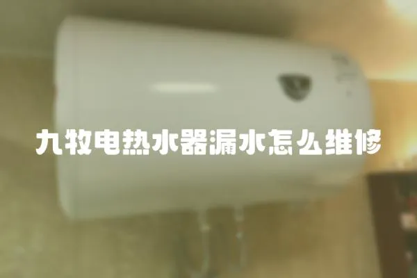 九牧電熱水器漏水怎么維修