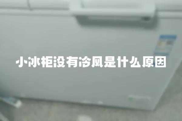 小冰柜沒有冷風是什么原因