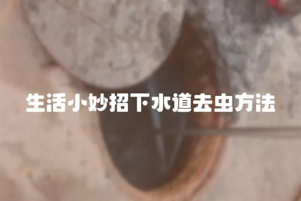 生活小妙招下水道去虫方法