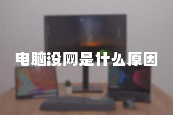 電腦沒網是什么原因