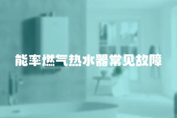 能率燃氣熱水器常見故障
