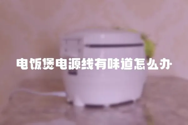 電飯煲電源線有味道怎么辦