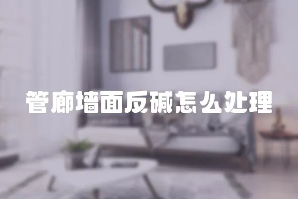 管廊墻面反堿怎么處理