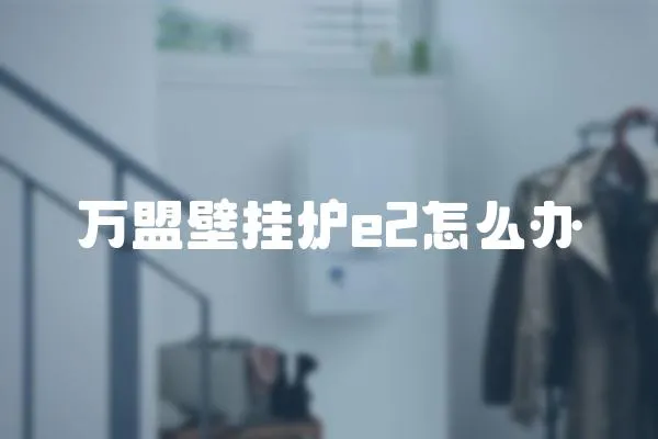 萬盟壁掛爐e2怎么辦