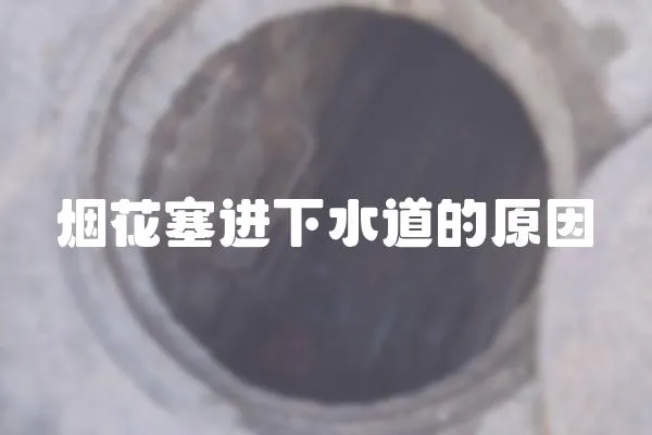 煙花塞進下水道的原因