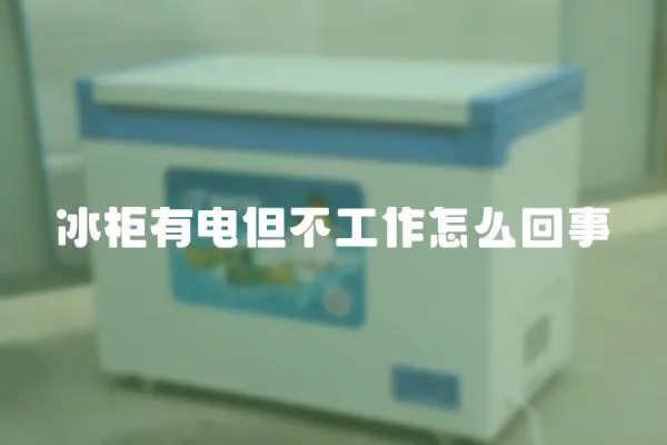 冰柜有電但不工作怎么回事