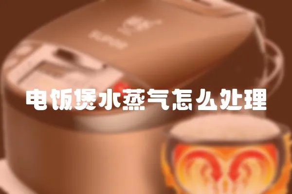 電飯煲水蒸氣怎么處理
