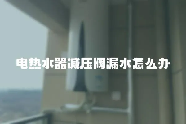 電熱水器減壓閥漏水怎么辦