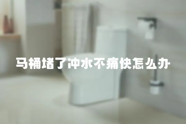 馬桶堵了沖水不痛快怎么辦