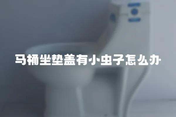 馬桶坐墊蓋有小蟲子怎么辦