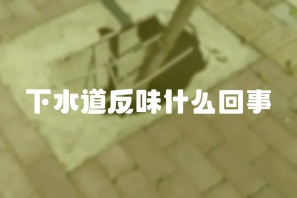 下水道反味什么回事