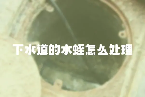 下水道的水蛭怎么處理