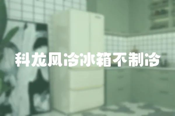 科龍風冷冰箱不制冷