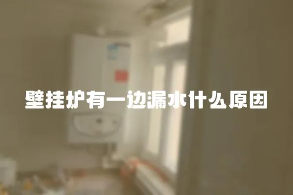 壁掛爐有一邊漏水什么原因