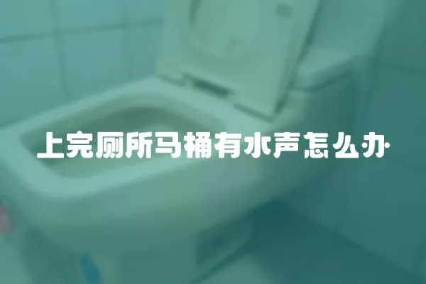 上完廁所馬桶有水聲怎么辦