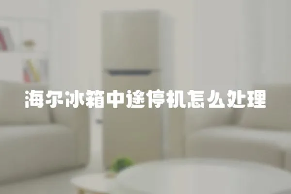 海爾冰箱中途停機(jī)怎么處理