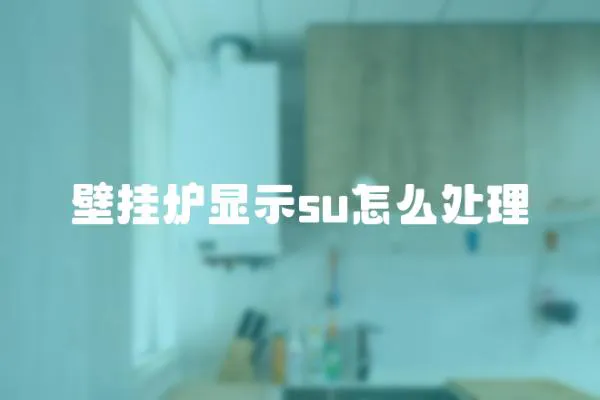 壁掛爐顯示su怎么處理