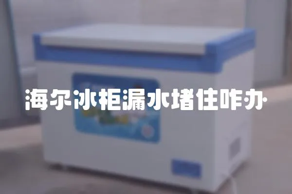 海爾冰柜漏水堵住咋辦