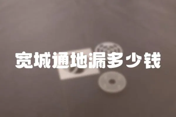 寬城通地漏多少錢