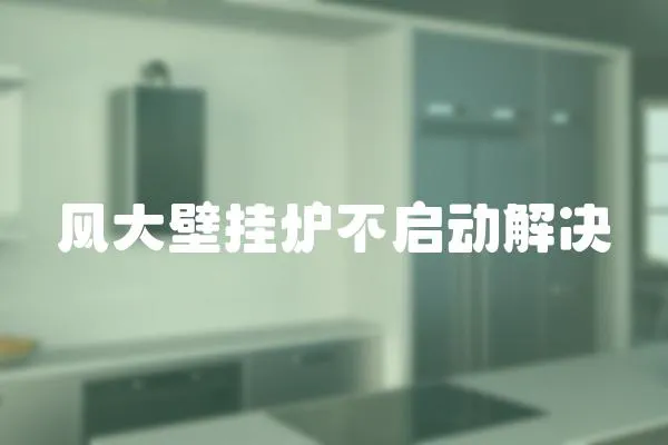 風大壁掛爐不啟動解決